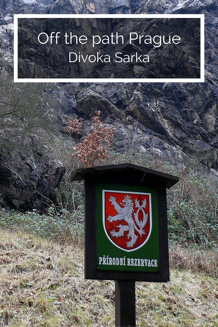 divoka sarka pin
