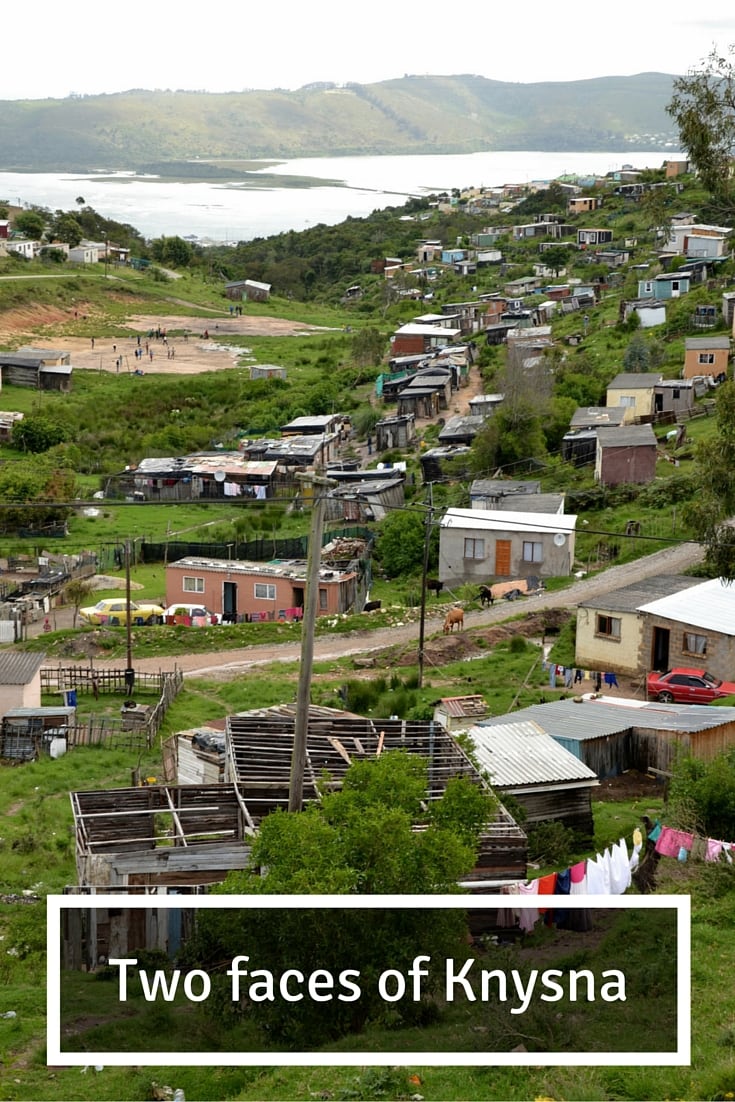 knysna pin (1)