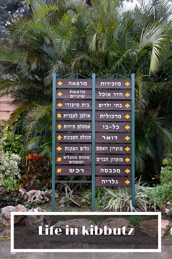 kibbutz pin (2)