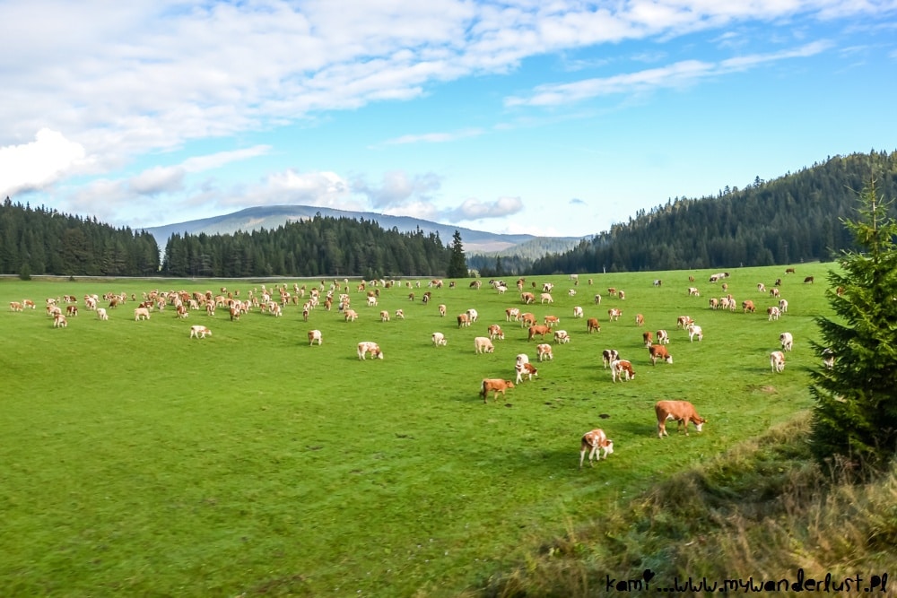 Slovak Paradise