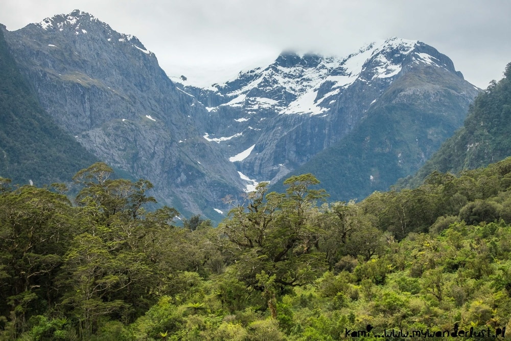 10 days in New Zealand itinerary - Milford Sound