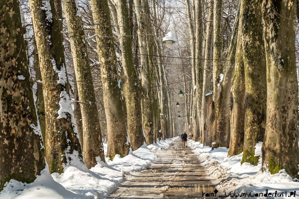 things to do in Sarajevo - Ilidza