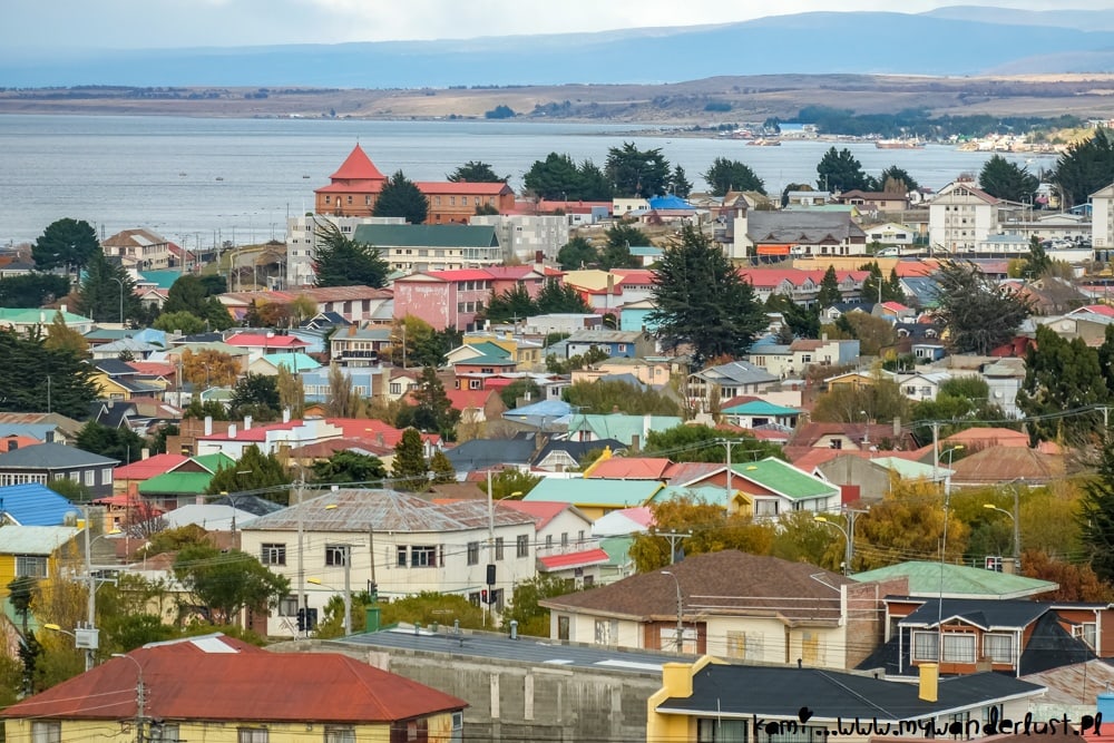 things to do in Punta Arenas Chile