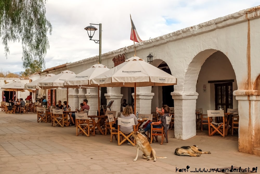 things to do in San Pedro de Atacama Chile