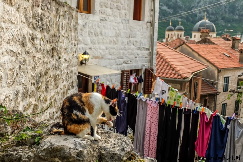 things to do in Kotor Montenegro