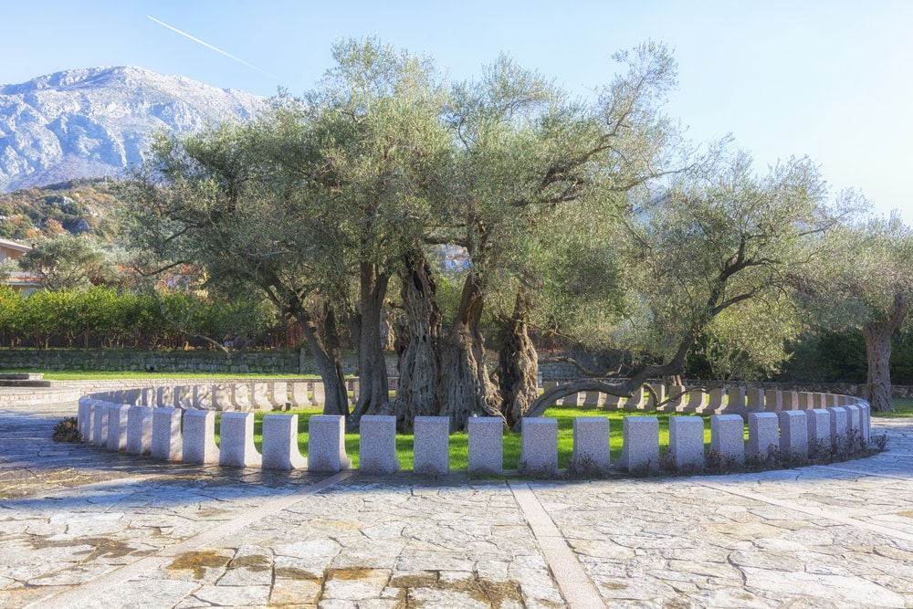things to do in montenegro