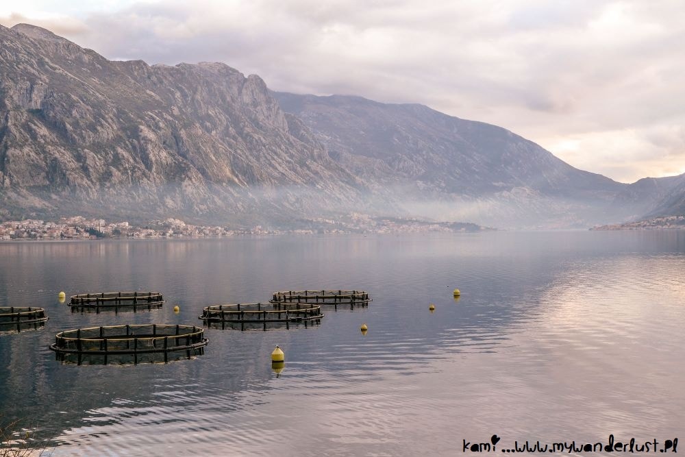 things to do in montenegro