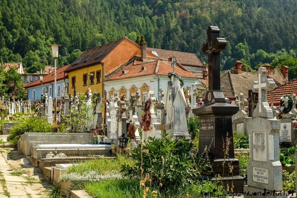things to do in brasov romania