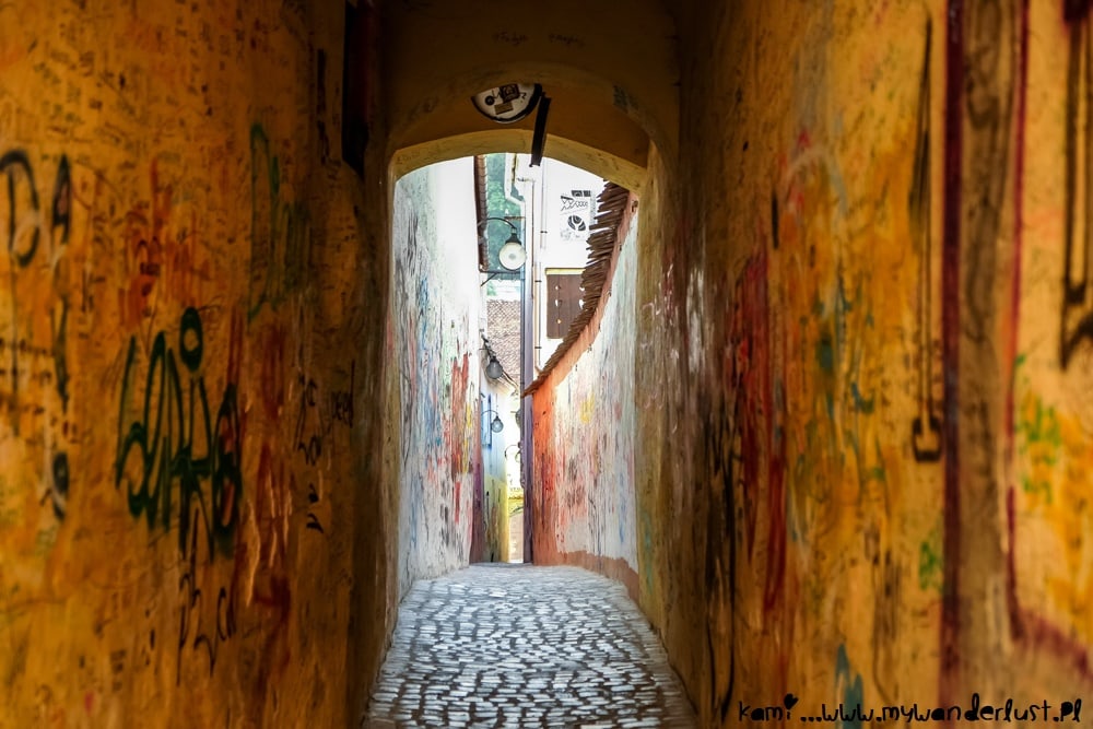 things to do in brasov romania