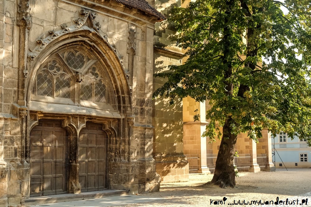 things to do in brasov romania