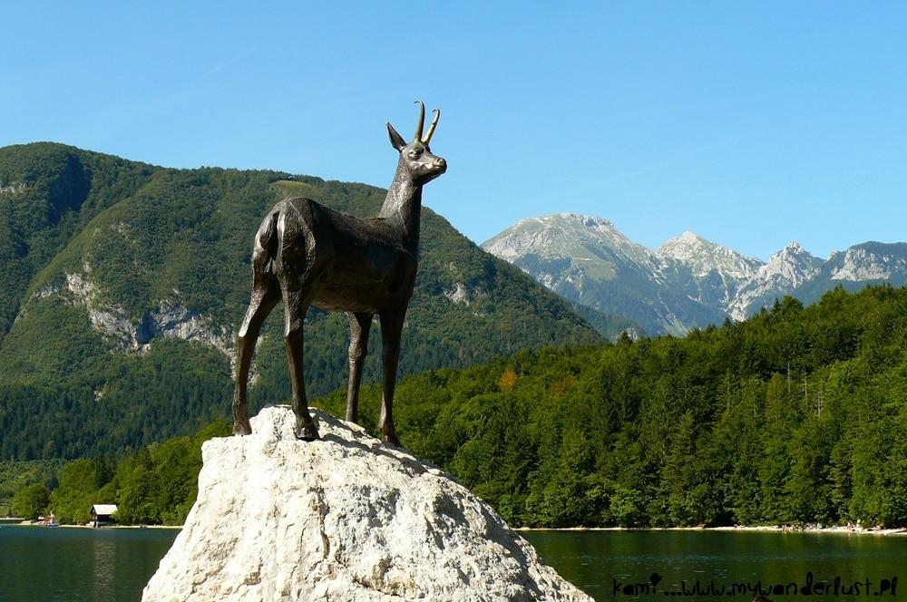 lake bohinj slovenia