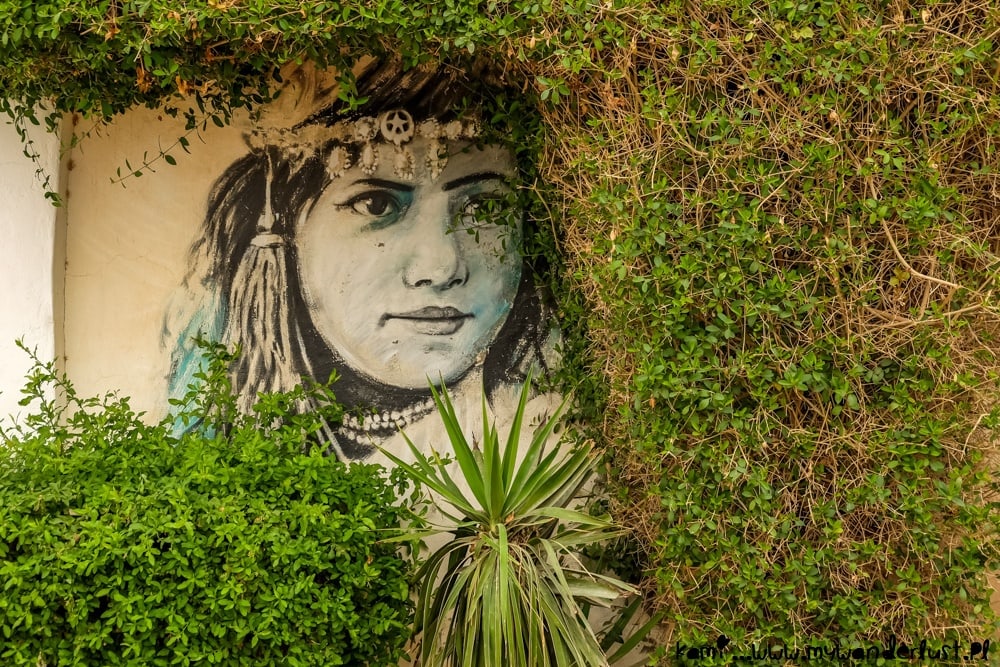 visit djerbahood tunisia