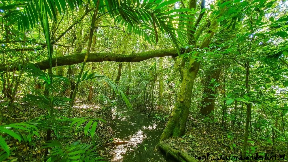 central america itinerary