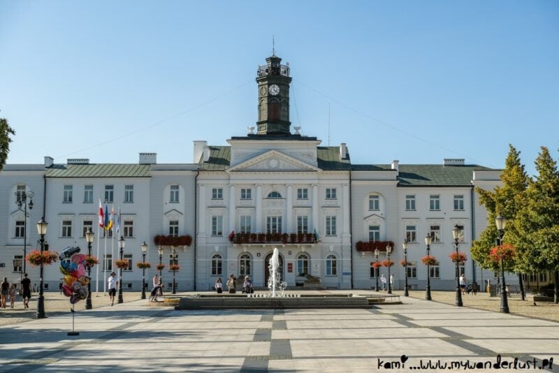visit plock poland