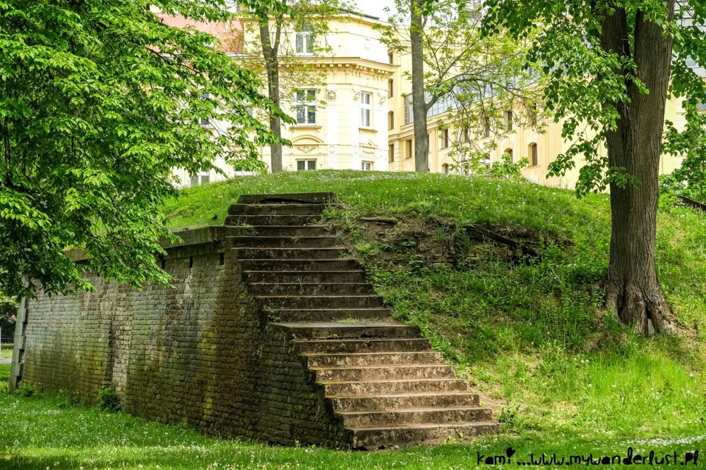 hradec kralove czech republic