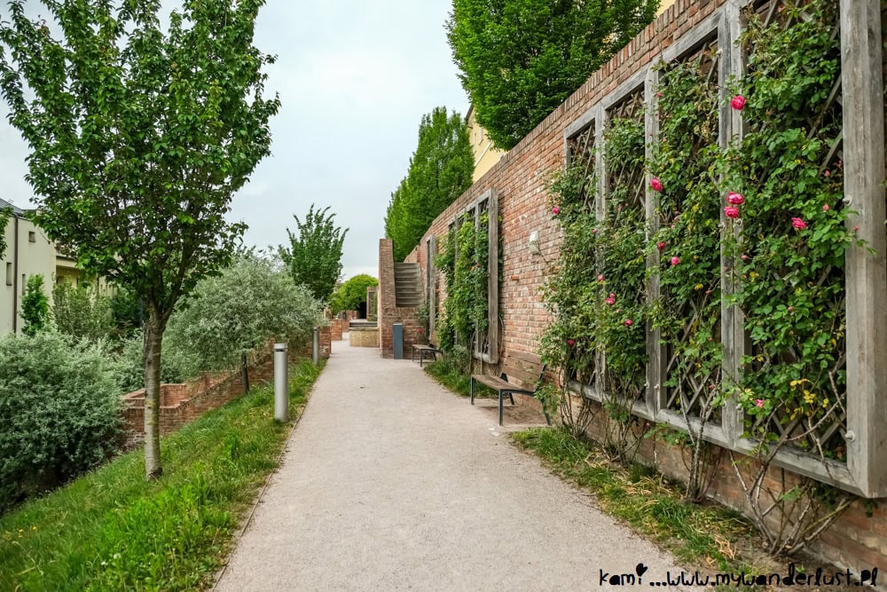 hradec kralove czech republic