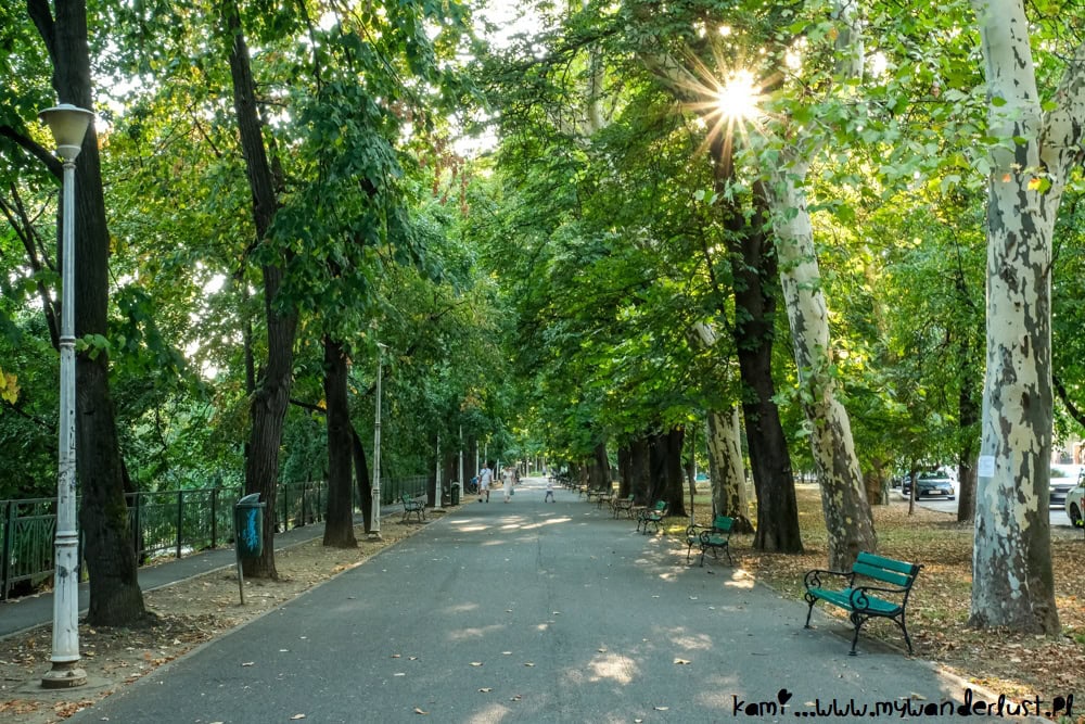 things to do in oradea romania