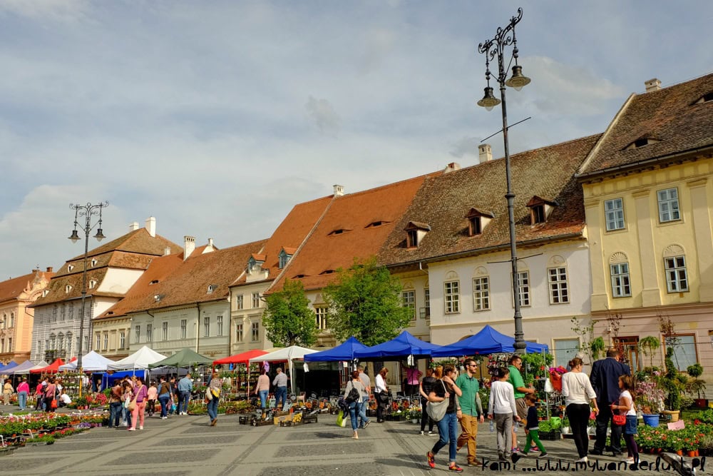 things to do in sibiu romania