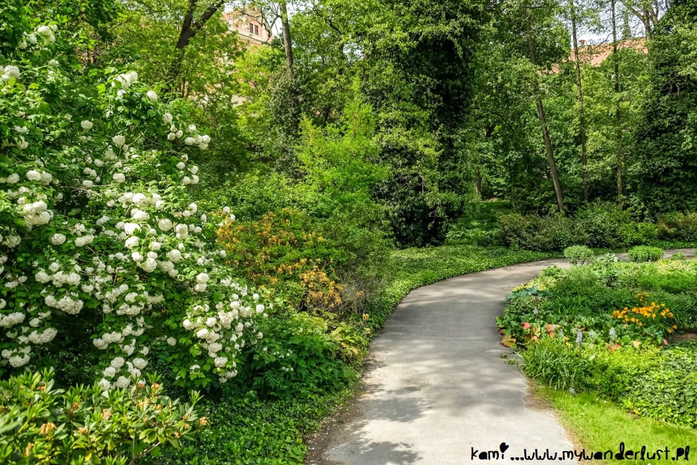 things to do in olomouc czech republic