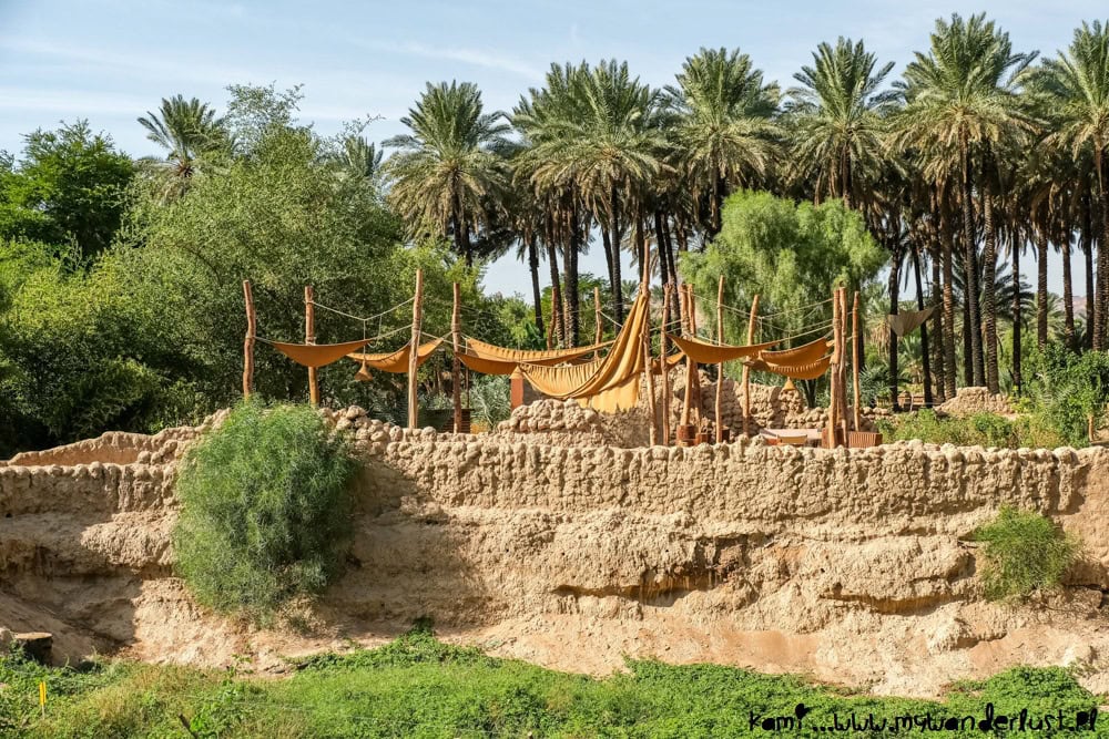 things to do in alula saudi arabia