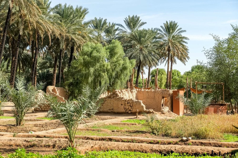 things to do in alula saudi arabia