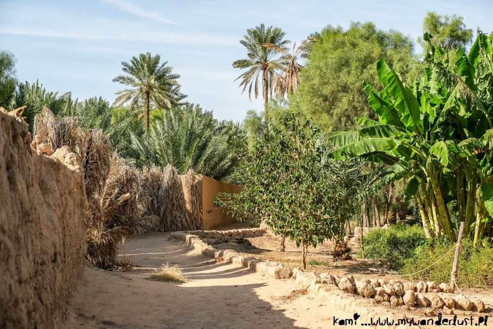 things to do in alula saudi arabia