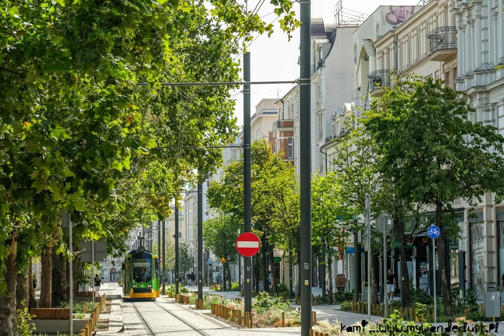 things to do in poznan poland