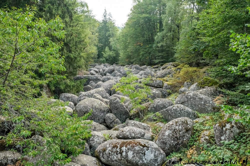 vitosha nature park